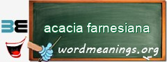 WordMeaning blackboard for acacia farnesiana